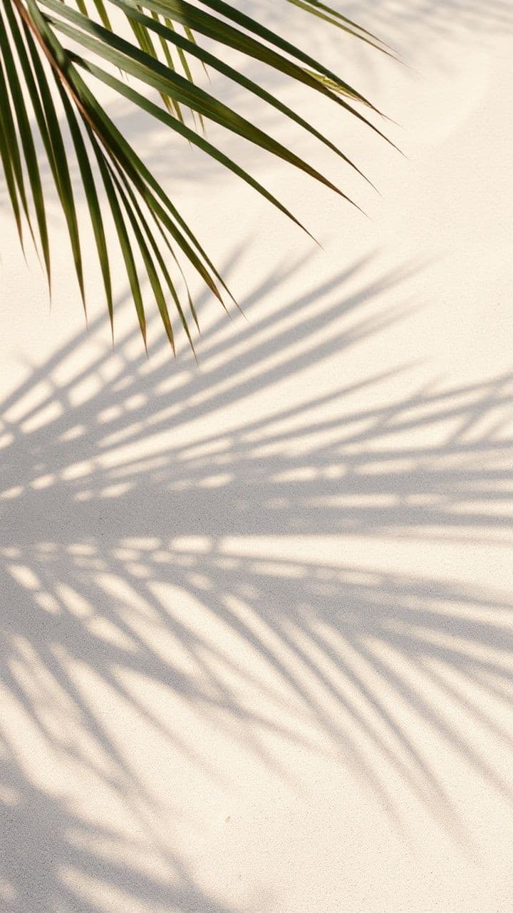 Palm fronds casting long shadows across a sunlit wall